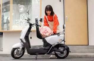 雅迪e3 專屬于你的時(shí)尚大氣，暖男般的電動車網(wǎng)絡(luò)設(shè)備