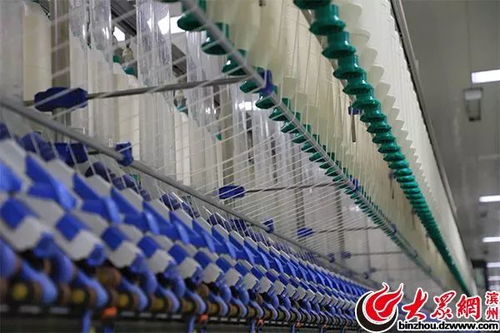 萬錠用工僅10人，魏橋紡織引領全球智能化變革驚艷網絡媒體